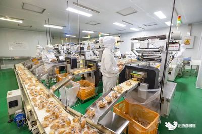 區內企業投資管理 策略、挑戰與優化路徑